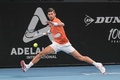 テニス、アデレード国際1、男子シングルス準決勝。リターンを打つノバク・ジョコビッチ（2023年1月7日撮影）。(c)Brenton EDWARDS / AFP