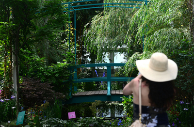 巨匠モネの庭園、NY植物園に再現