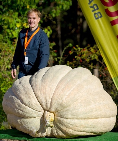 1位は重さ672キロ！ドイツでカボチャの重さコンテスト