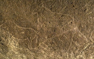 ビル真下で見つかった壁画、1万4000年前のものと判明 スペイン