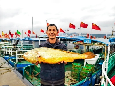 中国寧波の漁民、2.1キロのフウセイを捕獲