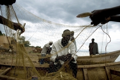 アフリカの淡水種20%以上が絶滅の危機、数百万人に打撃