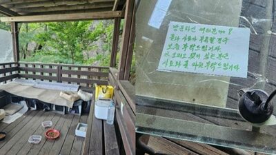韓国・登山路にある「憩いの場」が“猫の家”になっていた…「水・飼料の支援お願い」のメモ書きも
