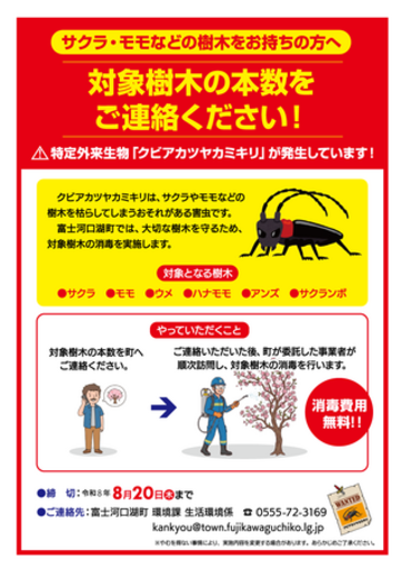 【富士河口湖町】特定外来生物クビアカツヤカミキリ対策　サクラ等の無料消毒を実施