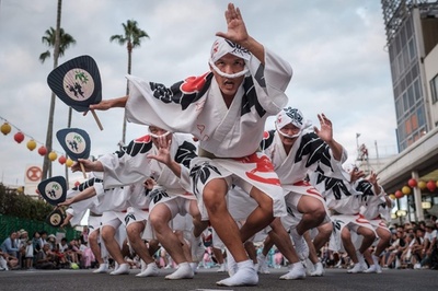 徳島の阿波踊り、熱狂のうちに閉幕