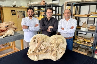砂漠から4100万年前のクジラの化石 エジプト