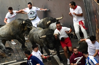 牛に追われ熱狂 スペイン恒例「サン・フェルミン祭」