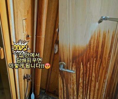 ヤニまみれ、衝撃の“黄土部屋”…韓国・清掃業者が警鐘鳴らす「室内喫煙の恐怖」