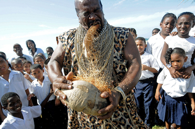 「人間ココナツ皮むき機」、歯を使い6時間500個でギネス記録か