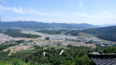 「映える茶畑」が人気…知られざる緑茶の聖地を旅する (下) – KOREA WAVE