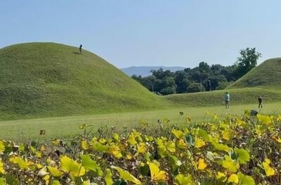 新羅古墳を踏み荒らし、父親は「認証ショット」撮影…韓国・APEC開催目前の慶州で非常識行動