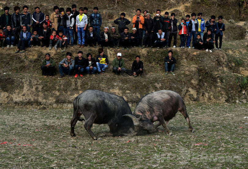 観光ブームで「見世物化」される少数民族、中国