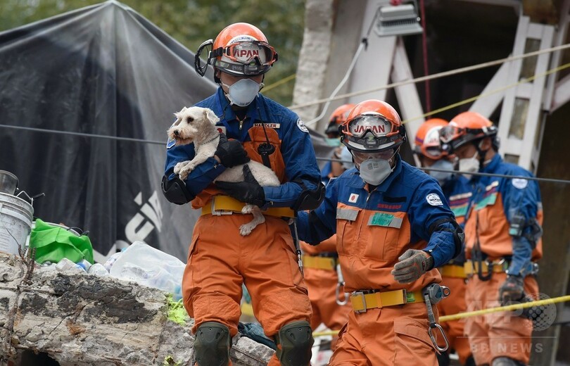 メキシコ地震、日本の救助隊が犬を救出 発生から5日ぶり