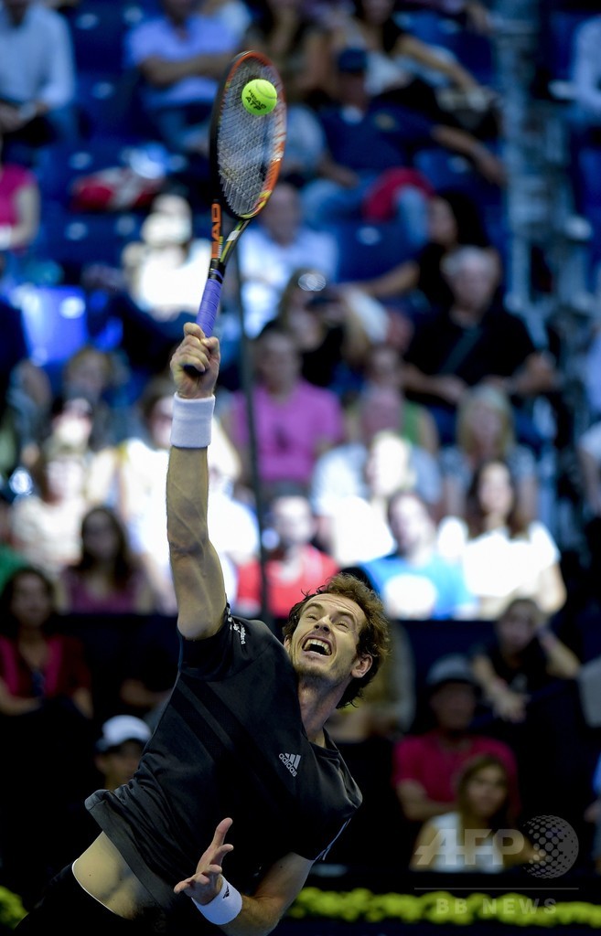 マレーがフェレールを破り決勝進出、バレンシア・オープン