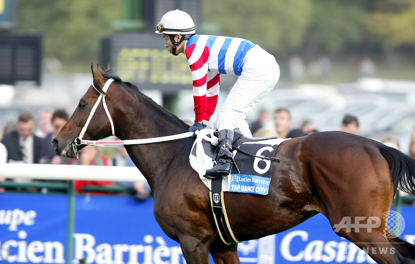 ディープ インパクト 凱旋門 賞