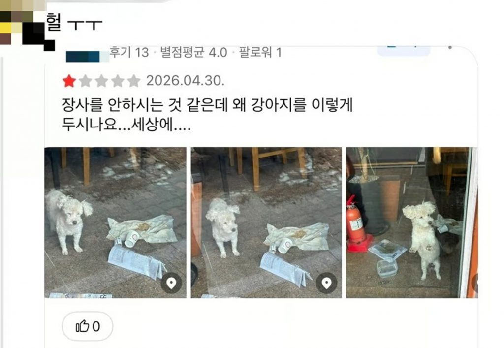 韓流歌手が紹介した飲食店が閉店…その店舗に「14歳の犬」が