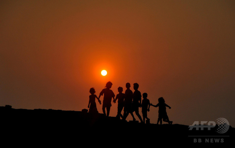 地球上で6回目の大量絶滅が進行中である可能性がある