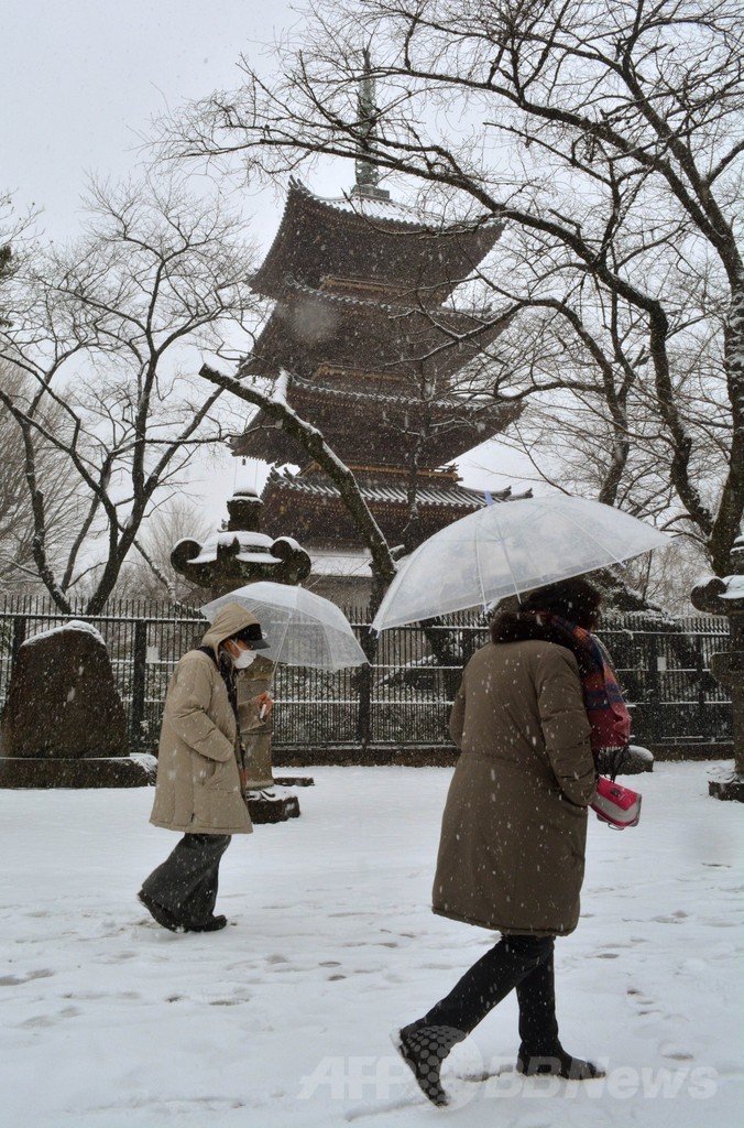 東京などに大雪警報、23区では13年ぶり 各地で交通の乱れ