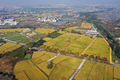 浦江県の上山考古遺跡公園と周辺の農地（2020年11月13日撮影）。(c)Xinhua News