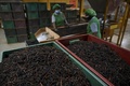 スリランカ・ラトゥナプラの紅茶工場（2021年7月31日撮影）。(c)Ishara S. KODIKARA / AFP