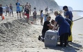 米カリフォルニア州ラグナビーチに漂着したアシカを運ぶ太平洋海洋哺乳類センターの職員ら（2015年3月30日撮影）。(c)AFP/ROBYN BECK