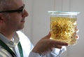 英キュー王立植物園の研究室で、サボテンのサンプルを持つ科学者（2016年5月9日撮影）。(c)AFP/DANIEL LEAL-OLIVAS