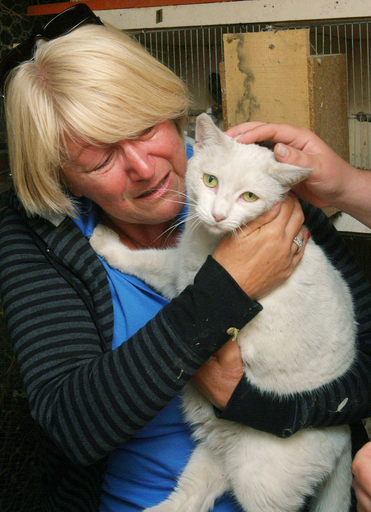 23か所で続く山火事、オーストラリア南東部