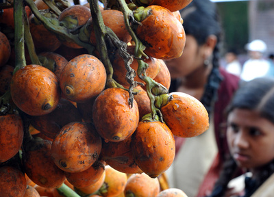 南太平洋を5週間漂流、ソロモン諸島沖で14人救助