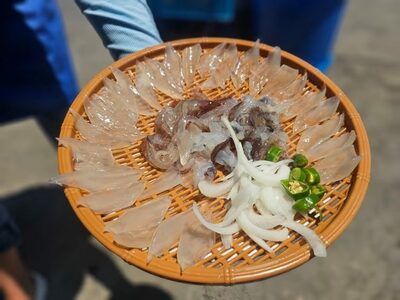 「イカ2匹で6000円」…韓国・束草「屋台のぼったくり疑惑」再燃、法外な金額