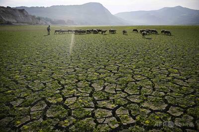 世界の平均気温、今後5年で「1.5度」超えの確率は70％ 国連