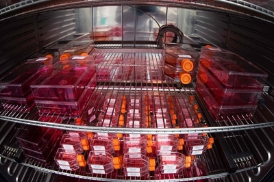 サノフィとGSK、コロナワクチン供給で米欧と合意