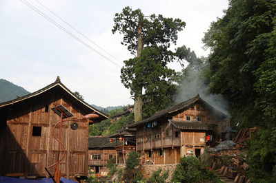 中国・貴州、ミャオ族禿杉の郷