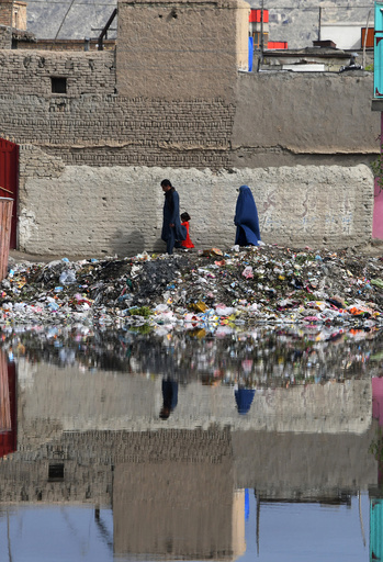 「ゴミときどき家族写真」