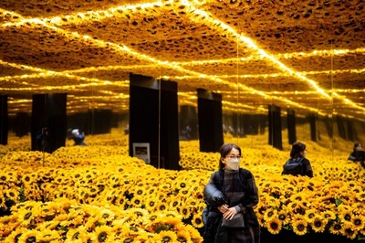'Van Gogh Alive' immersive exhibition in Tokyo