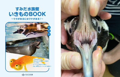 【すみだ水族館】すみだ水族館の夏は“発見”がいっぱい!<br />ガイドブックや体験プログラムで自由研究をサポート