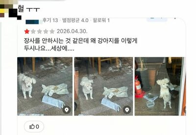 韓流歌手が紹介した飲食店が閉店…その店舗に「14歳の犬」が置き去りにされていた