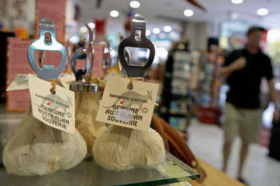 「カンガルー殺すな」、豪動物愛護団体が間引き計画に抗議