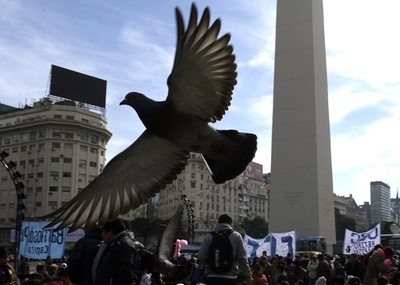 刑務所に麻薬「配達」、ハトを射殺 アルゼンチン