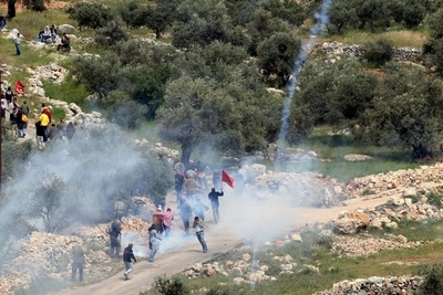 分離壁建設の反対派、デモで17人が負傷 - パレスチナ自治区