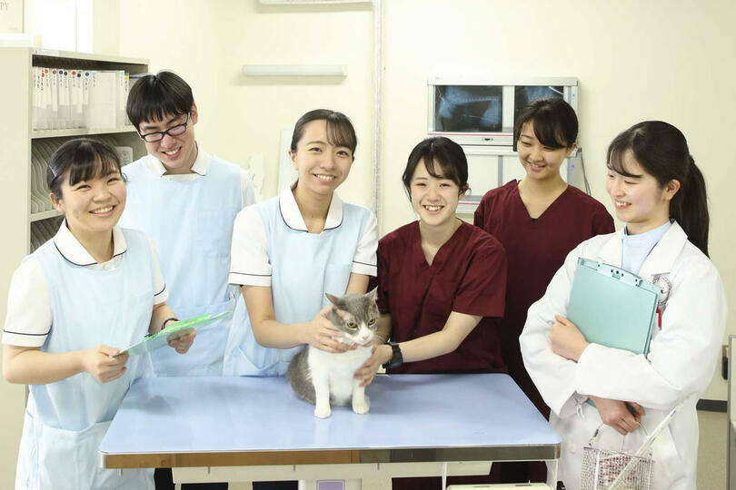 日本獣医生命科学大学が第1回愛玩動物看護師国家試験において2022年度卒業生の合格率100％を達成 写真1枚 国際ニュース：AFPBB News