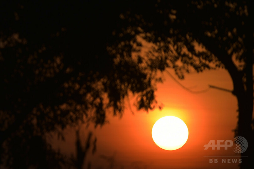 地球の生命誕生 若年期太陽の爆発現象が引き金か 研究 写真1枚 国際ニュース Afpbb News