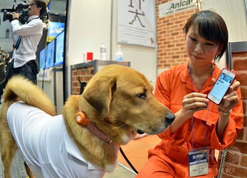 ペット向けの製品も登場、「ウェアラブルEXPO」開幕