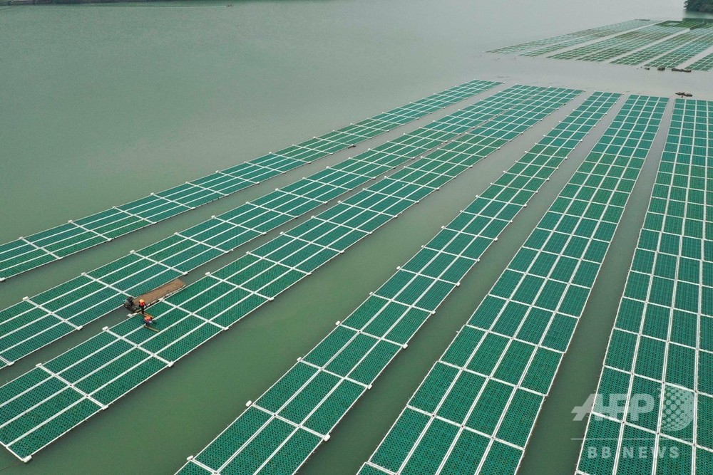 人工浮床で水質改善、温州市の「水がめ」を守る 浙江 写真5枚 国際ニュース:AFPBB News