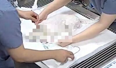 排せつして鳴いた愛犬、9階から投げ捨てる…韓国男性への猶予判決、動物団体「軽すぎる」批判