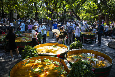 北京の宮殿で特別金魚展 「木の海」で観賞