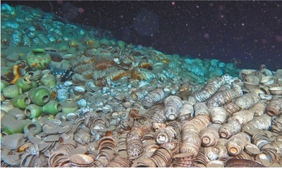 中国が深海考古学で重大な進展