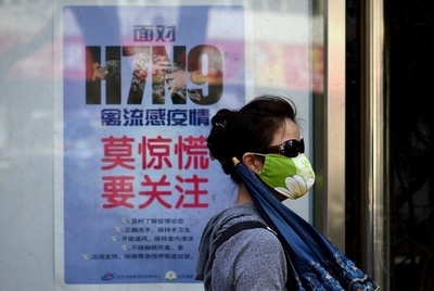 鳥インフル感染状況の予測は不可能、WHO事務局長