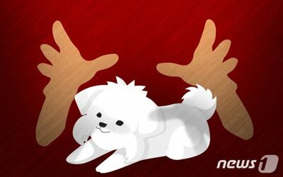 ペットの「残り香」は誰の責任？…韓国「除去費用」めぐり家主と新住人が対立