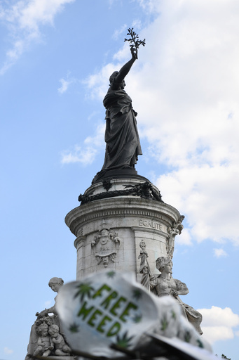 大麻合法化は使用量増加につながる、フランス研究