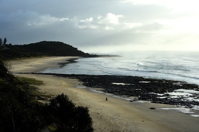 サメにふくらはぎかまれた男性、サーフボードで撃退 豪